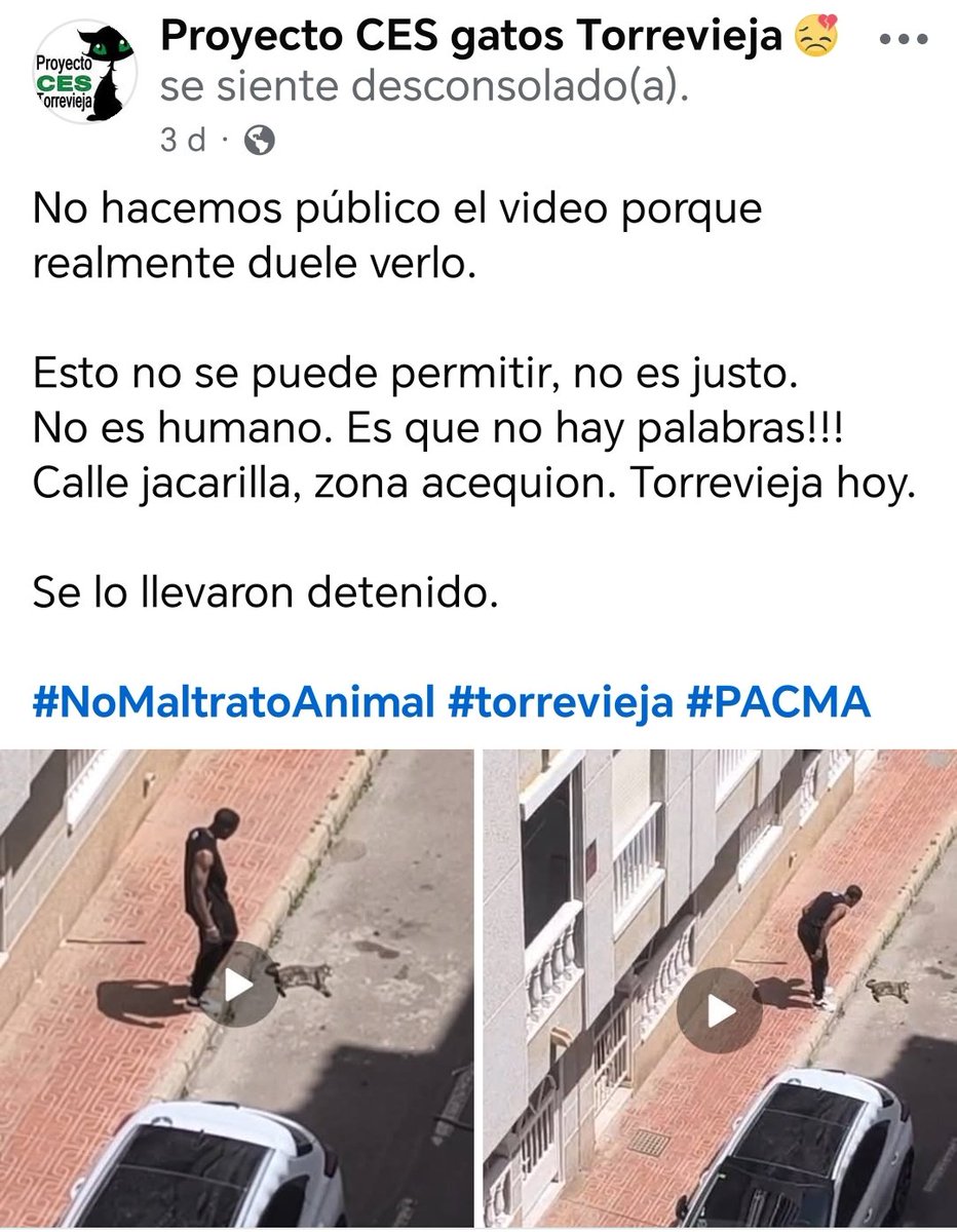 XJTonx's tweet photo. Por Nala y por todas aquellas mascotas que se nos han arrebatado de manera injusta, sin poder reclamar nada porque "solo es un animal", os pido que si veis este hilo, lo compartáis. Vamos a intentar que sirva de algo esta enorme pérdida.
#justiciaparaNala https://t.co/fgctTV58R3