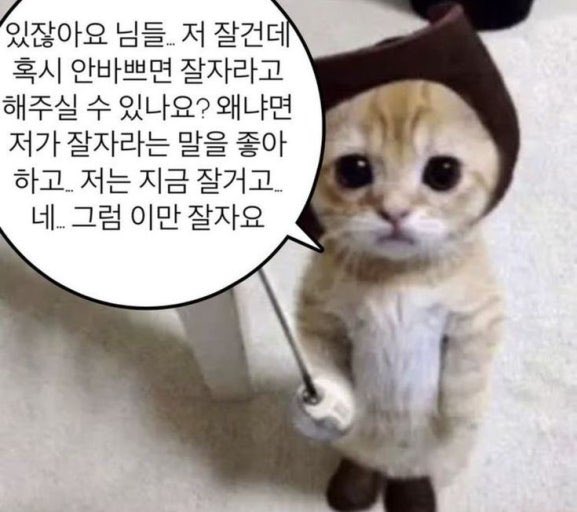 링아🌱 tweet media