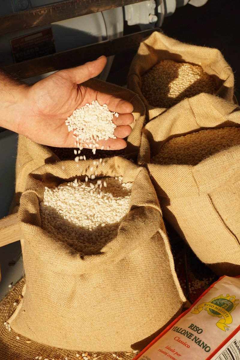 RisoMelotti's tweet photo. E' importante acquistare Riso italiano per difendere la nostra risicoltura ed il futuro delle aziende agricole. La battaglia degli agricoltori per difenderci e promuovere un'alimentazione sana e consapevole.https://t.co/f8Uh86VE2m #risoitaliano #protestacoldiretti #brennero #RISO https://t.co/ZmxDr85He1