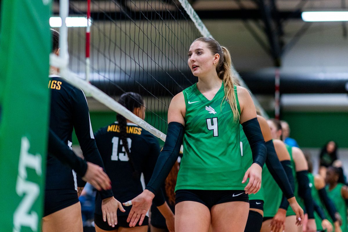 MeanGreenVB's tweet image. Final scenes of spring

#GMG 🟢🦅