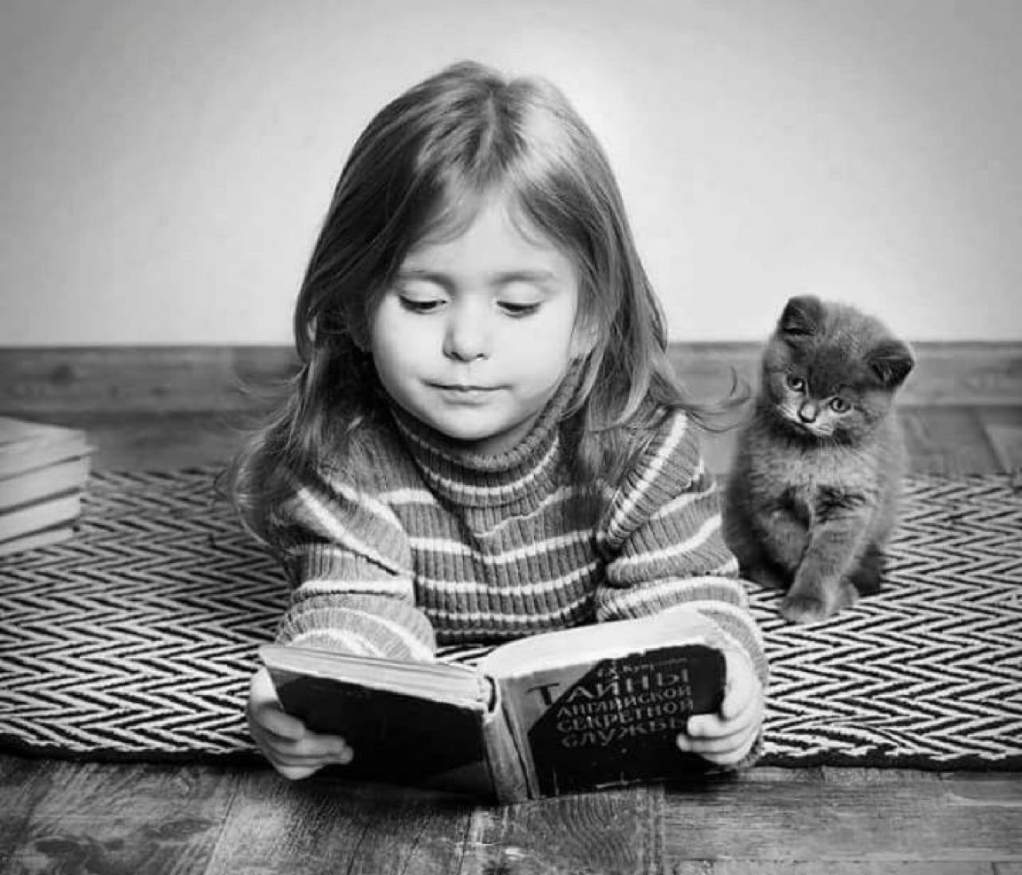 Kitaplardan Alıntılar tweet media