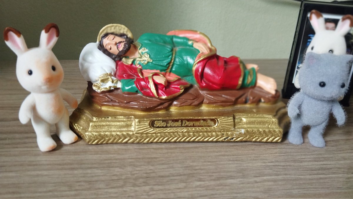 A casa do jovem católico