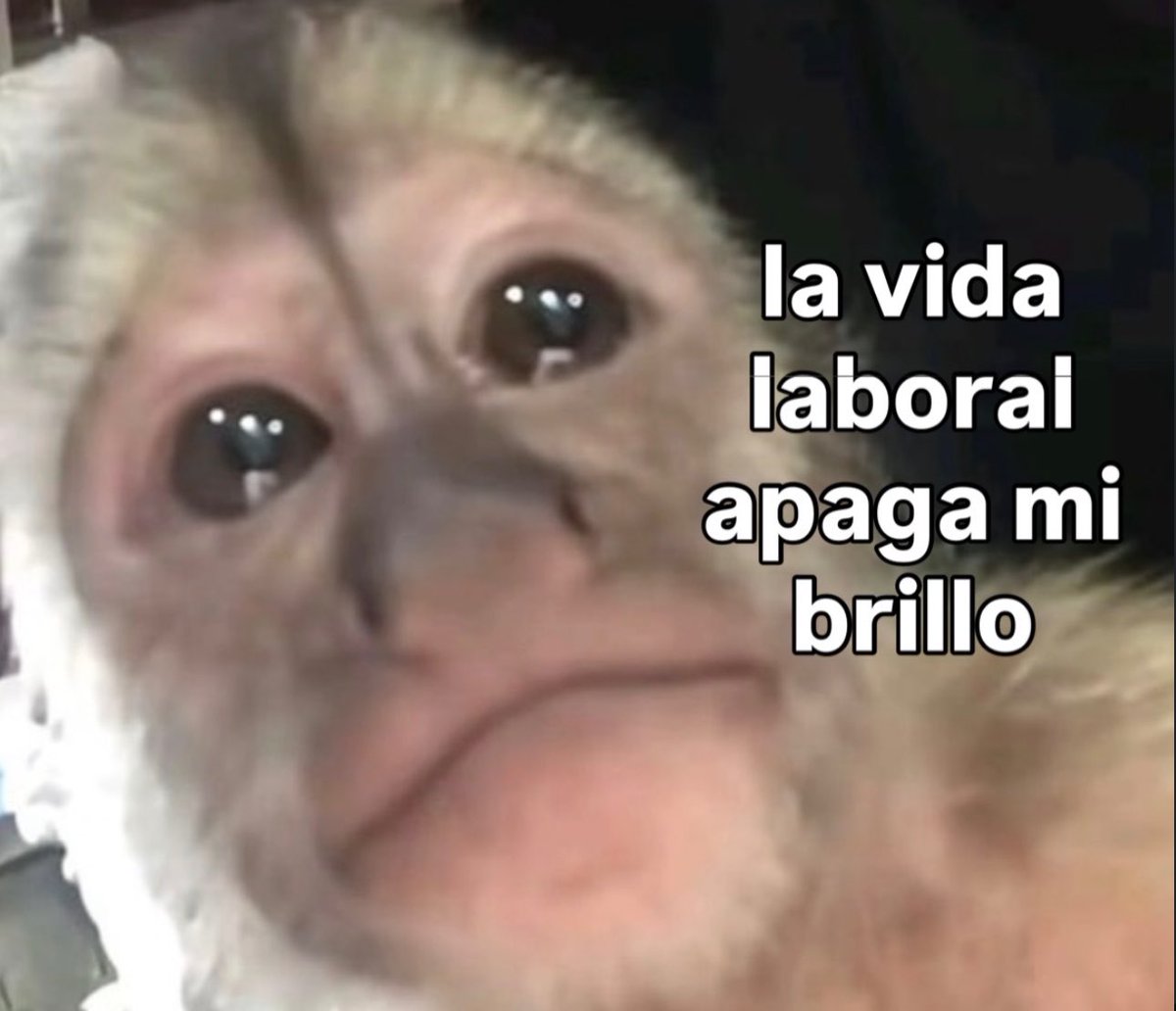 piña sin pizza tweet media