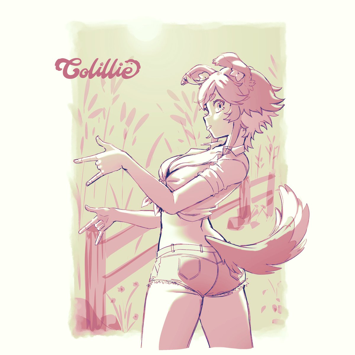 COLILLIE 🎾 tweet media