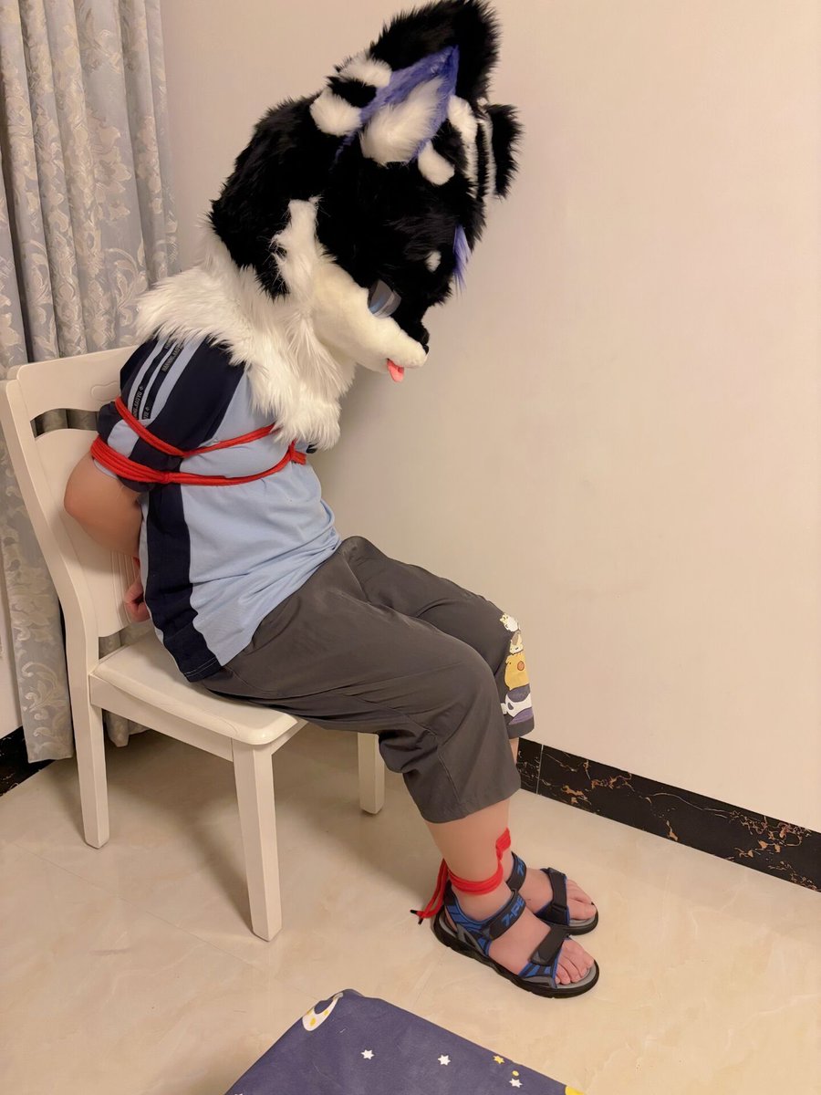 树承妙妙屋 tweet media