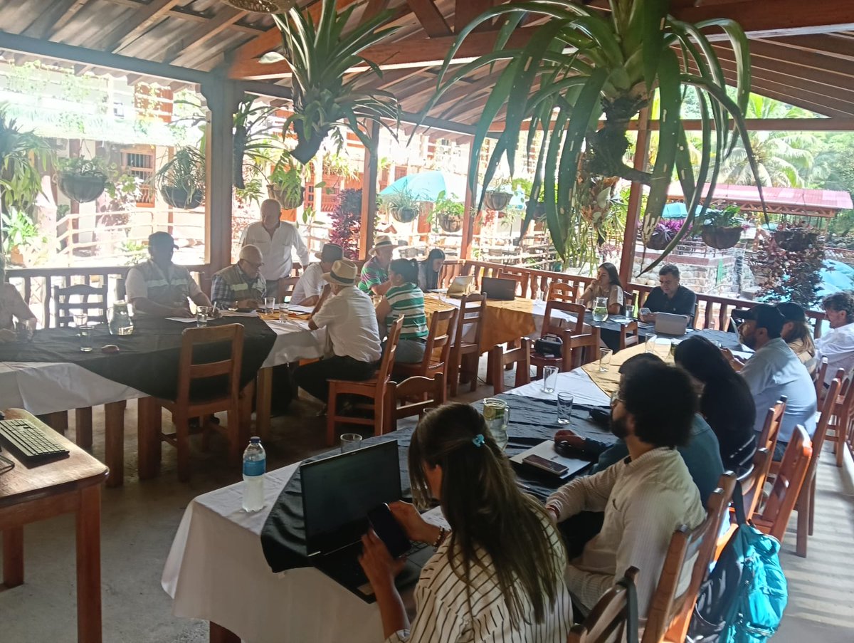 Informativo Regional 4 tweet media