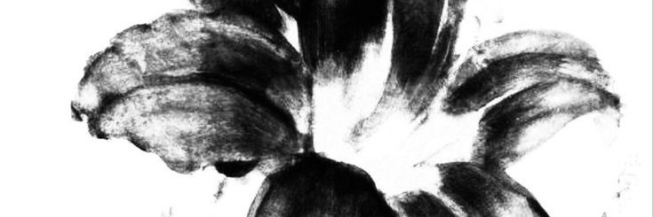 𓃗 horsee𝜗𝜚 tweet media