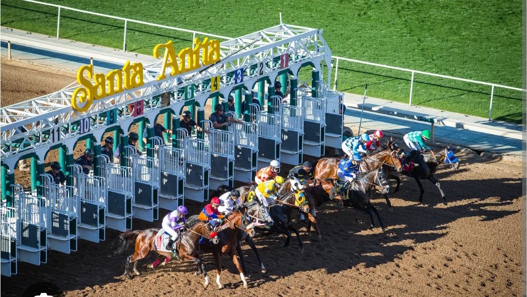LiderKenny's tweet photo. #Hipismo 🔴ATENCIÓN🔴
Ayer fue una jornada regular qen #TampaBayDowns y #ChurchillDowns Hoy #Jueves seguimos laborando con la mejor asesoría VIP de este negocio, Para todo tipo de jugador #GulfstreamPark #Aqueduct y #SantaAnitaPark costo modico.!
Suscripción (+58 412.981.30.14) https://t.co/sHxt8LUsBV