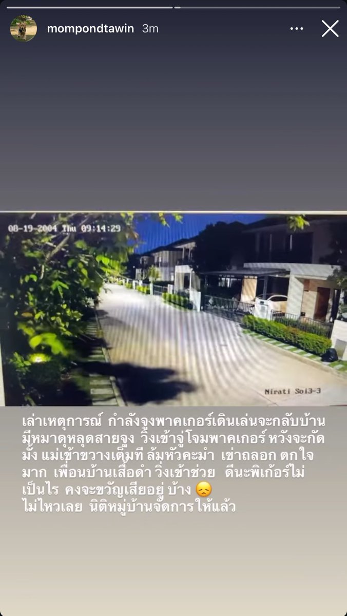 ceo of my own life tweet media