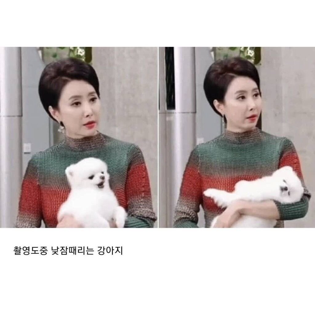 챱 tweet media
