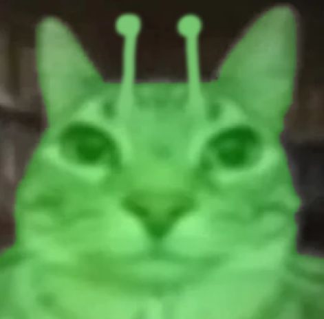isaameow tweet media