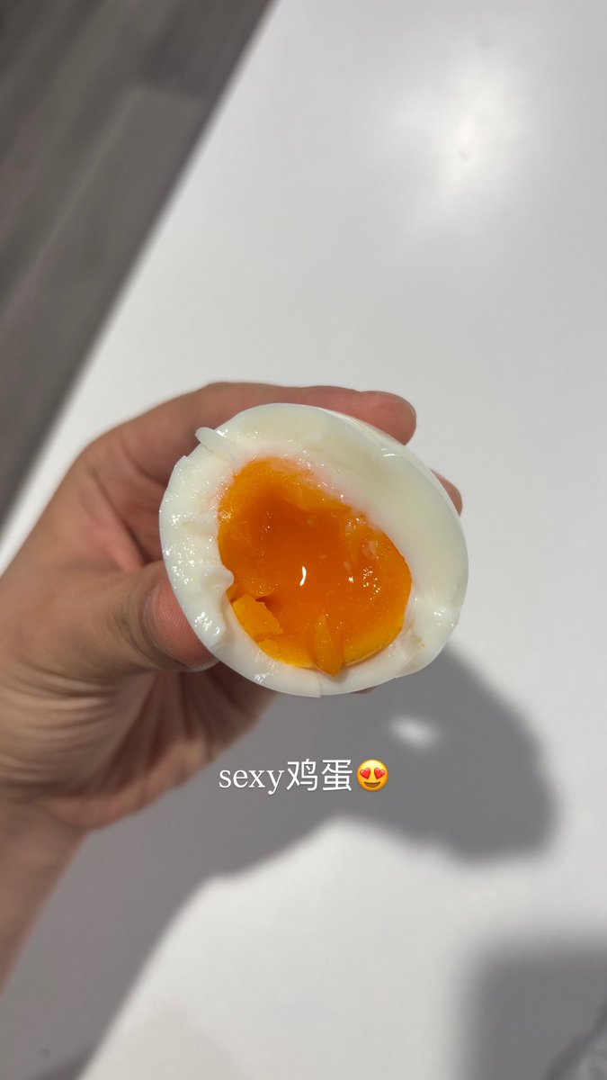 버거학사 tweet media