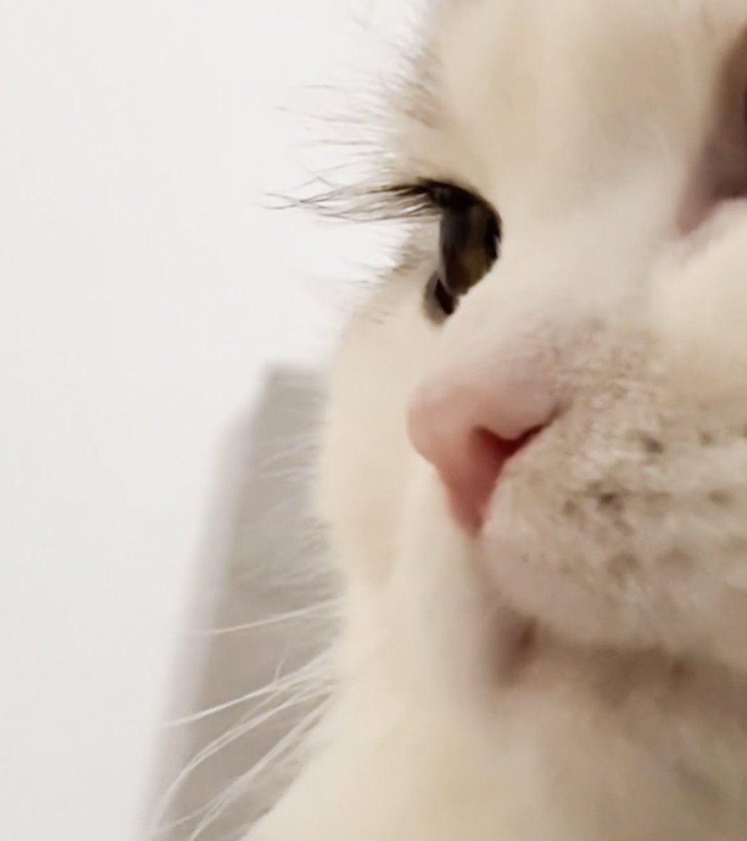 ᴋᴍ.✿ tweet media