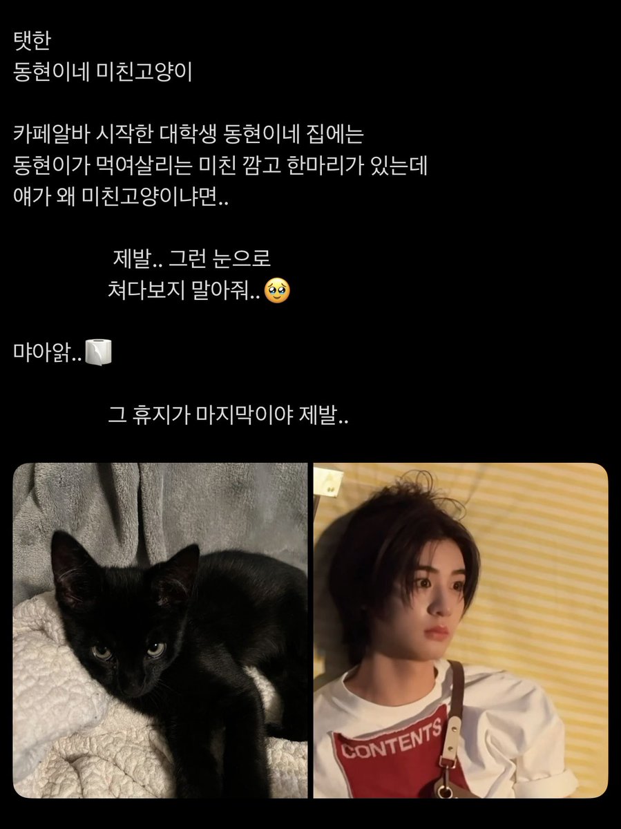 비시즌 tweet media