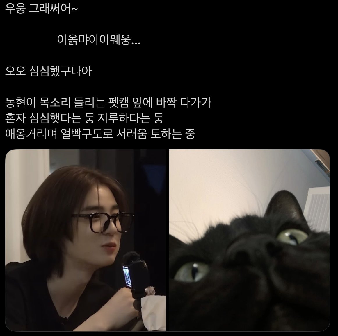 비시즌 tweet media