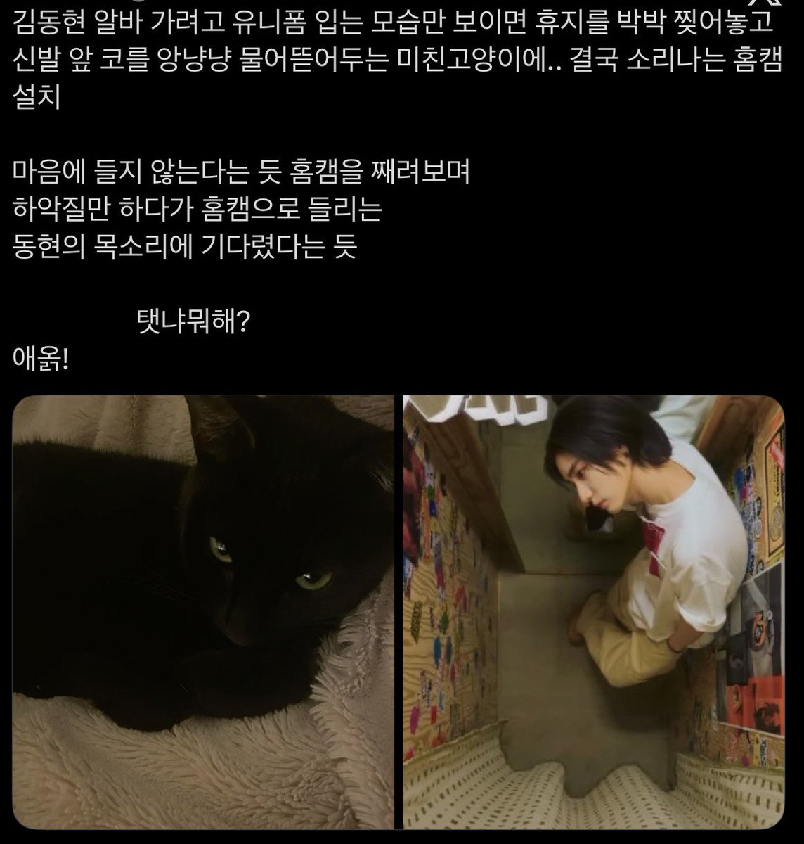 비시즌 tweet media