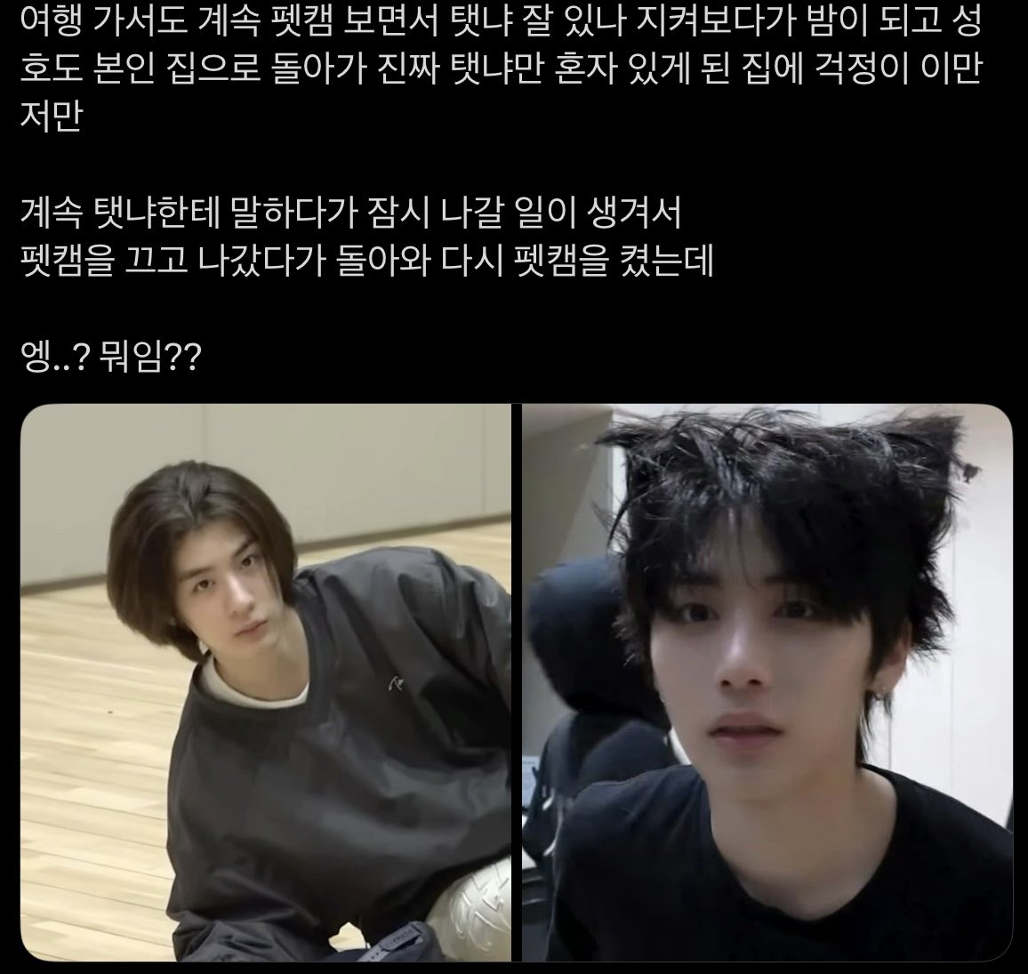 비시즌 tweet media