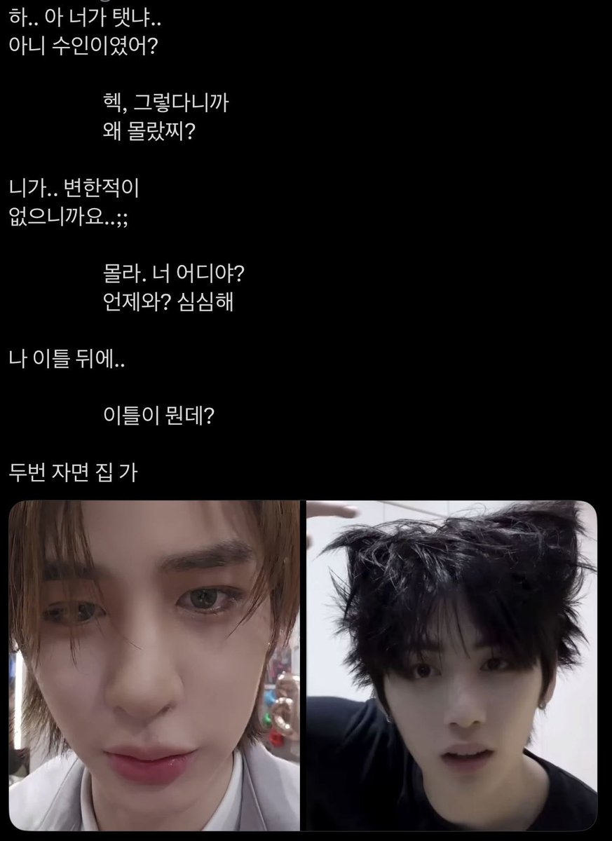비시즌 tweet media