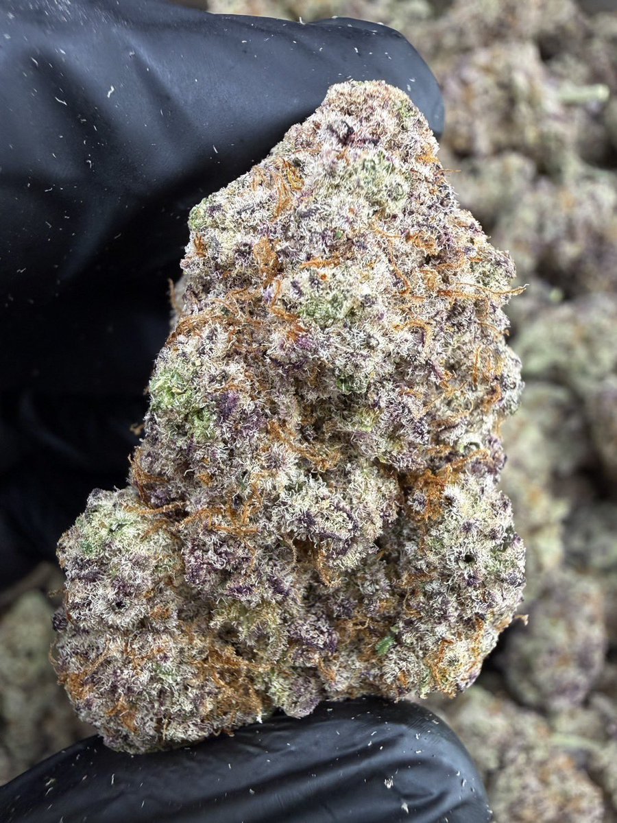 kaai_neuua_boi's tweet image. ❄️Indoor❄️ , ✨Size Top mid✨
🚀Mac 1

🛠️Indica 60% , THC23%

Aroma : Terpene🚀Cetus⛽️Vanilla 🍦

100G = 2,890฿ , Kg =  21,500฿

🛍️สนใจสินค้า @Line 
ทักแชท ตามสั่งได้เลยครับ🔻
Line ID (.) ▶️ 0924153858.

#weed #weedthailand #cannabis #Og #สายเขียว #กัญชา #กัญชาเลย #กัญชากรุงเทพ