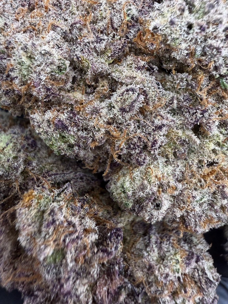 kaai_neuua_boi's tweet image. ❄️Indoor❄️ , ✨Size Top mid✨
🚀Mac 1

🛠️Indica 60% , THC23%

Aroma : Terpene🚀Cetus⛽️Vanilla 🍦

100G = 2,890฿ , Kg =  21,500฿

🛍️สนใจสินค้า @Line 
ทักแชท ตามสั่งได้เลยครับ🔻
Line ID (.) ▶️ 0924153858.

#weed #weedthailand #cannabis #Og #สายเขียว #กัญชา #กัญชาเลย #กัญชากรุงเทพ