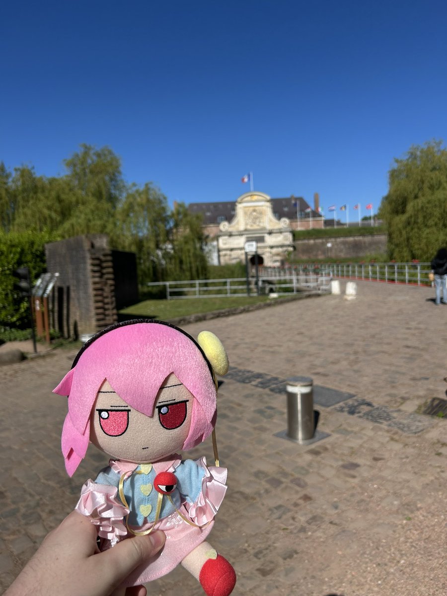 Not Cirno tweet media