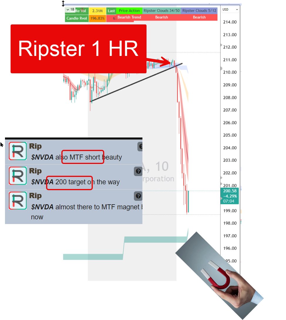 Ripster tweet media