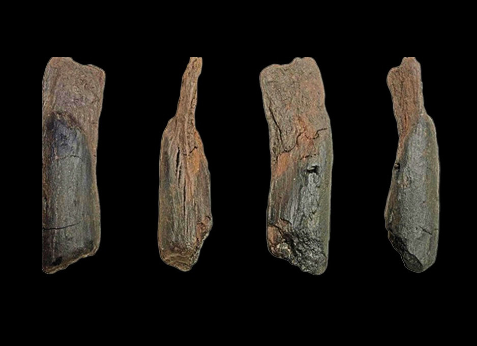 Archaeology Magazine tweet media