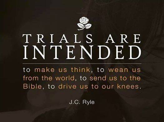 J.C. Ryle tweet media
