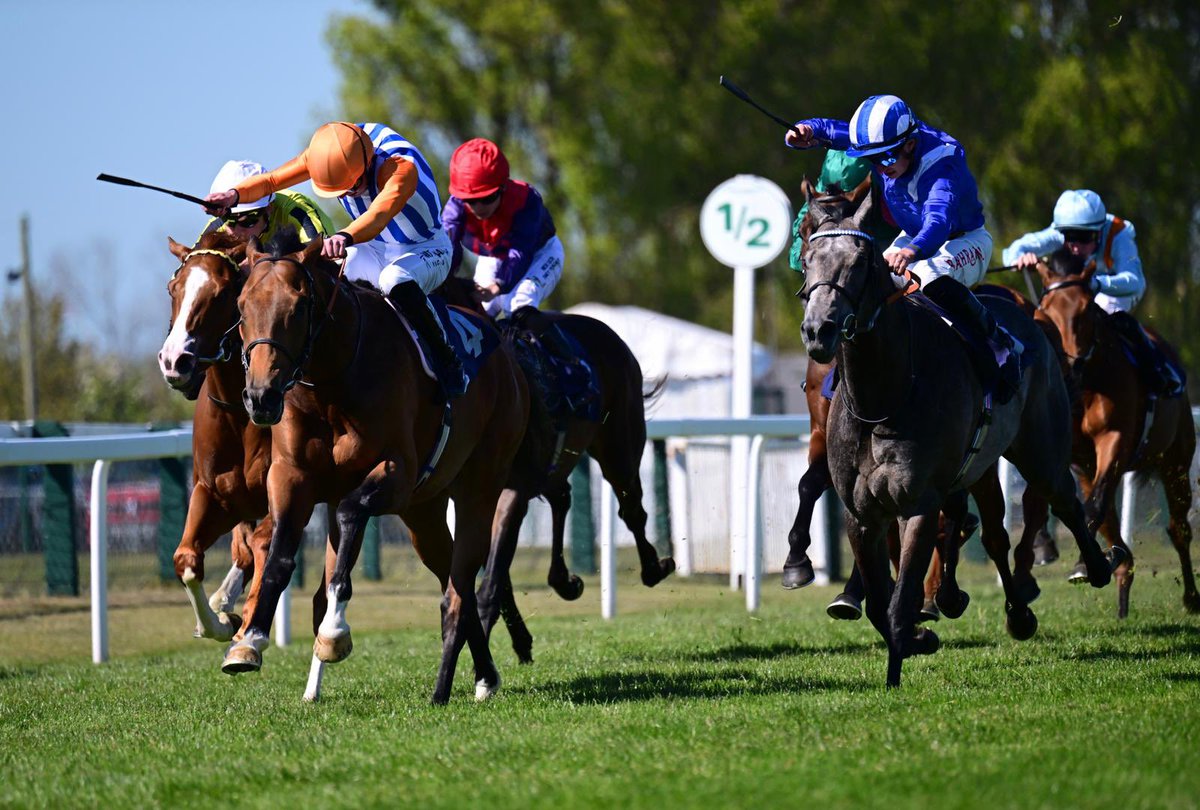 Kingsdown Stables tweet media