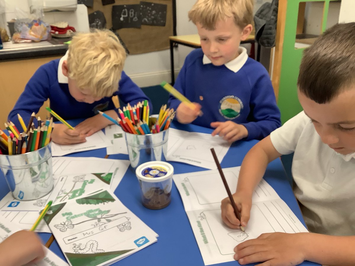 SAPSHedgehogs's tweet photo. Recording our caterpillar to butterfly diaries #eyfs #science #english https://t.co/l1EHD4zIdv