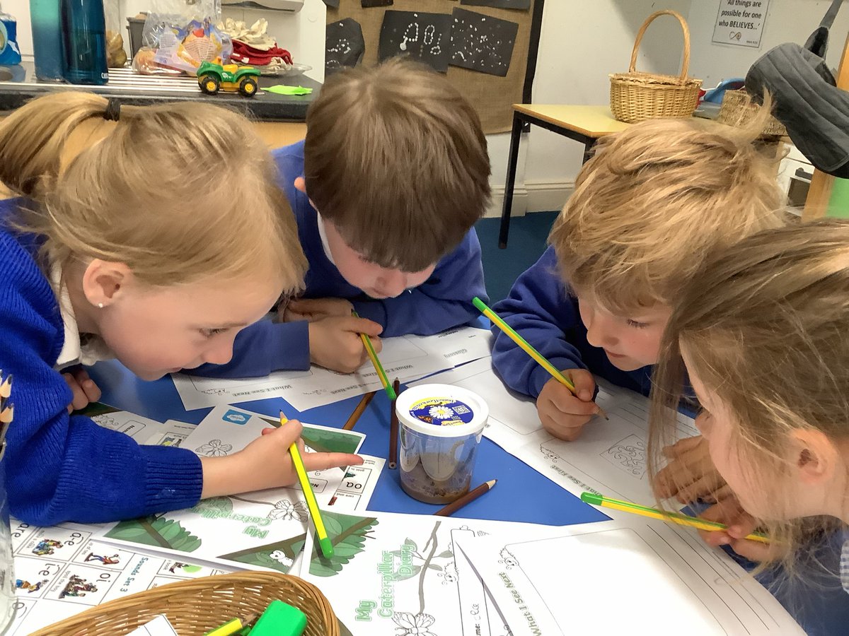 SAPSHedgehogs's tweet photo. Recording our caterpillar to butterfly diaries #eyfs #science #english https://t.co/l1EHD4zIdv
