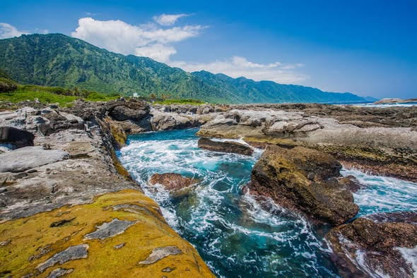 Taiwan no Brasil tweet media