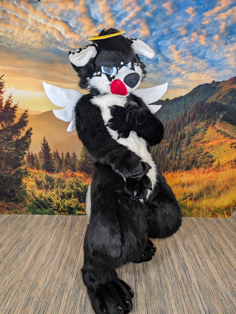 Angel Dog Alis 🔜 FWA tweet media