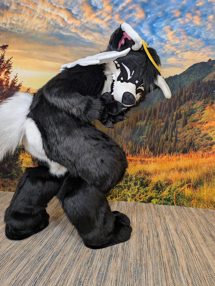 Angel Dog Alis 🔜 FWA tweet media