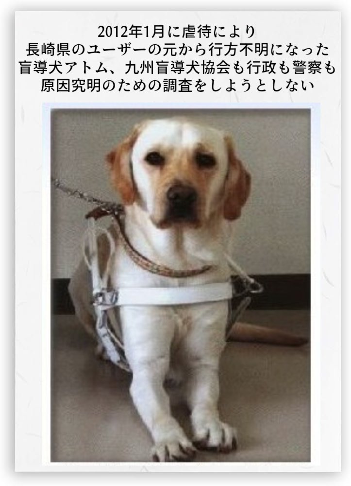おんワンコ tweet media