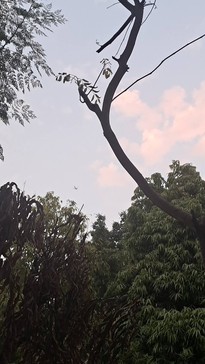 lightseekerusha's tweet photo. Twilight settles softly—
as if the day, tired of speaking,
chooses silence instead.
Branches hold the fading light
like a quiet memory,
and the sky blushes,
just before letting go.
 
#TwilightTime #EveningWhispers #SkyPoetry #NatureStillness #SoftLight #NatureDiary https://t.co/hR6mzoltJc