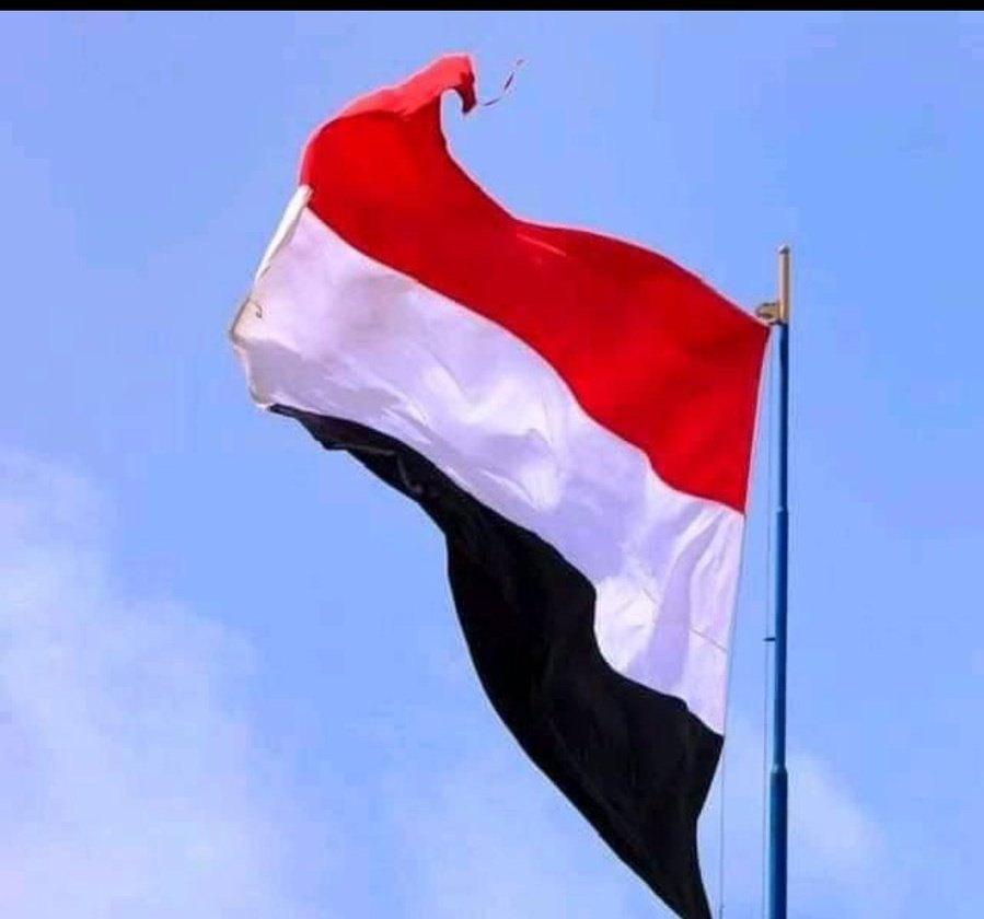 عبدالكريم العولقي 🇾🇪 tweet media