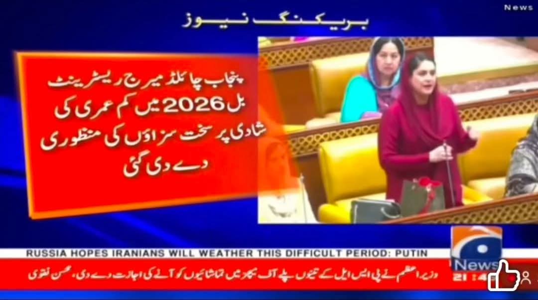 mohsin zaid tweet media