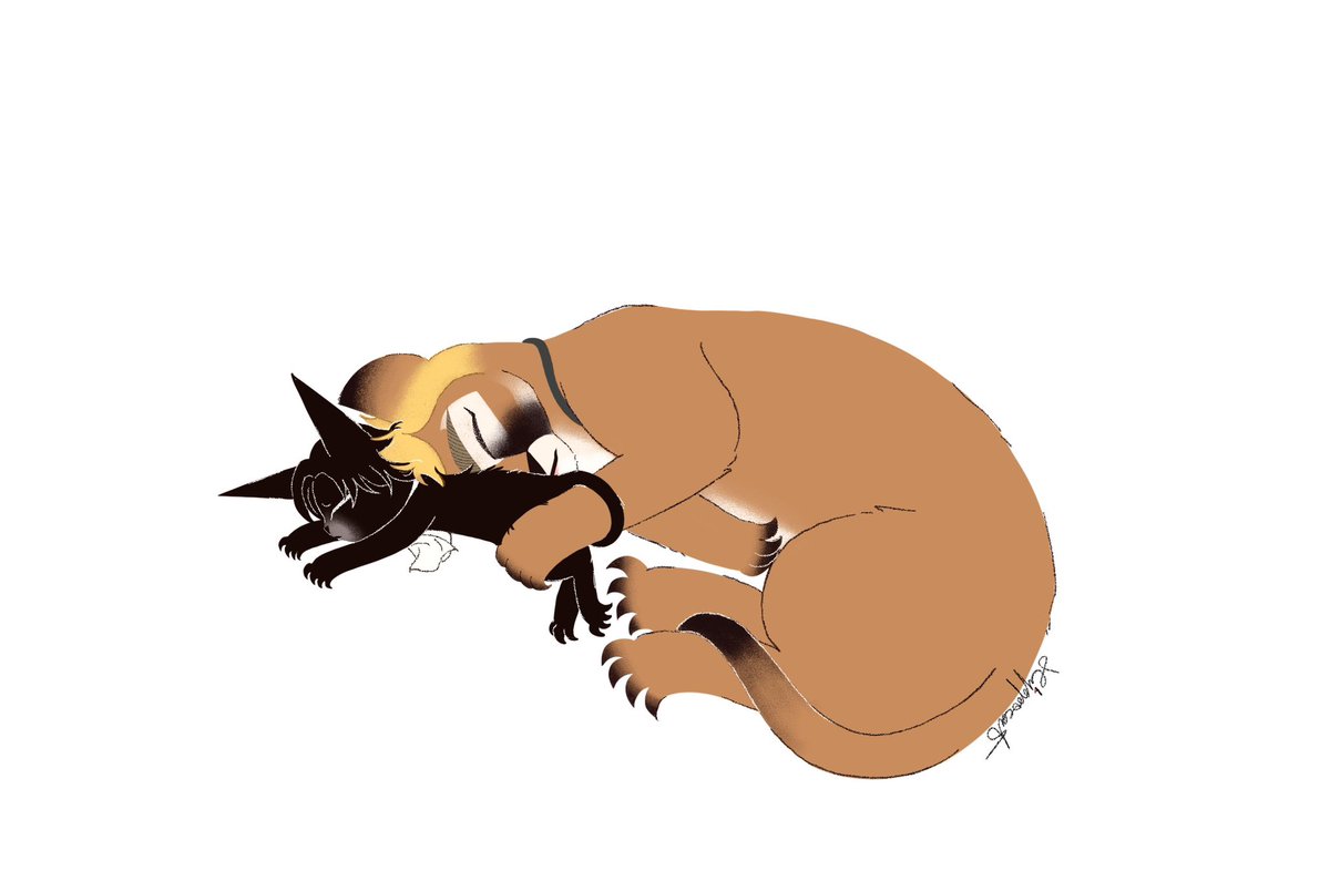 hippocat029123's tweet photo. 😴

#eruri  #エルリ #에루리 #團兵 https://t.co/8JuJZp6Zga