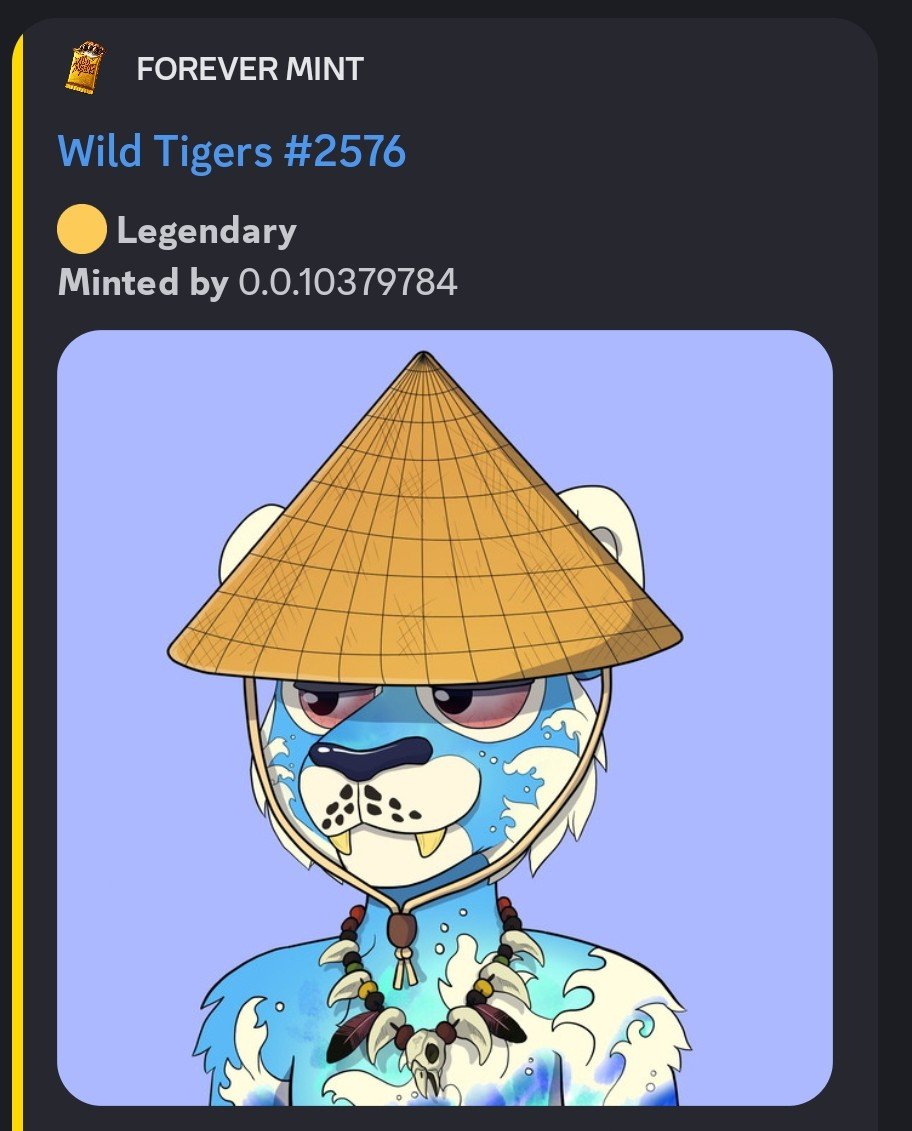 WildTigers tweet media