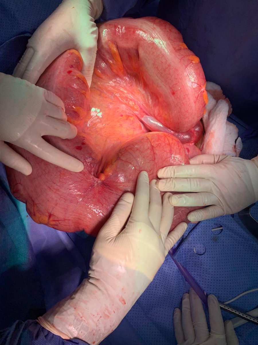 Dr. Al-Malki, Sultan M. tweet media