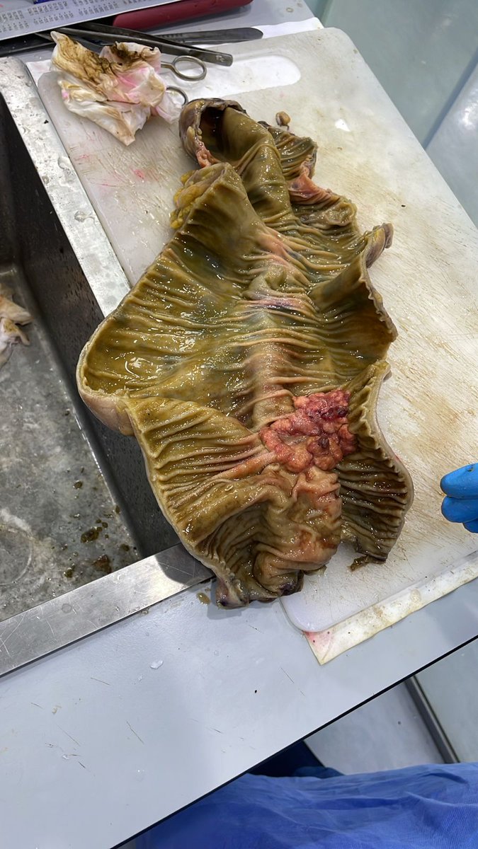 Dr. Al-Malki, Sultan M. tweet media