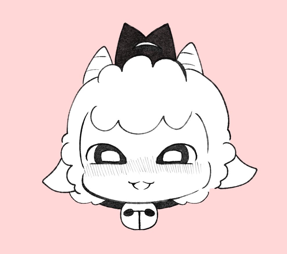 ぜろでぃあ tweet media