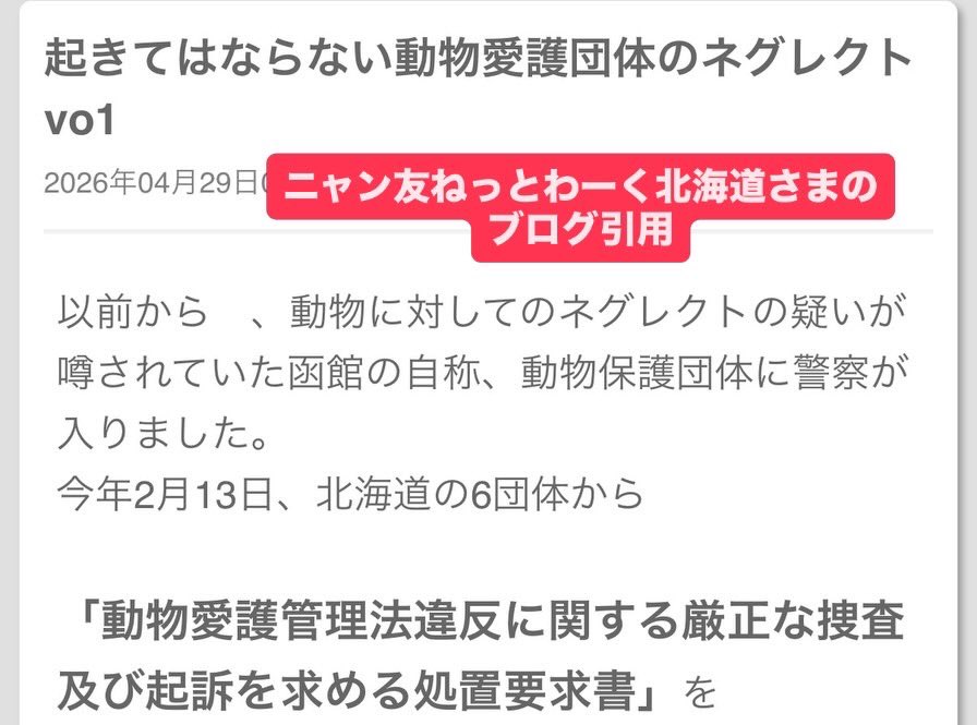 一般社団法人オホーツクねこの会【公式】 tweet media
