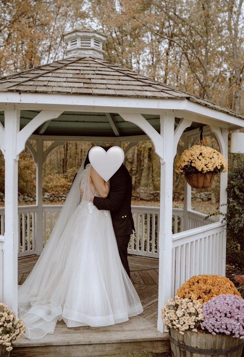 white mountains foid 🌄🤍🪴 tweet media