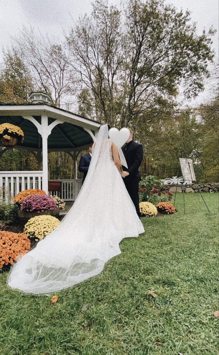 white mountains foid 🌄🤍🪴 tweet media