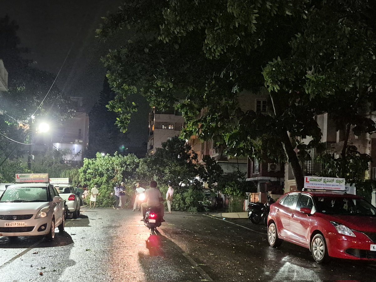 reshmatweetsat's tweet photo. Rains #bengalururains and hail storm storm bring a tree near Chikkalsandra  @GBA_office https://t.co/A4mj6WkDmH