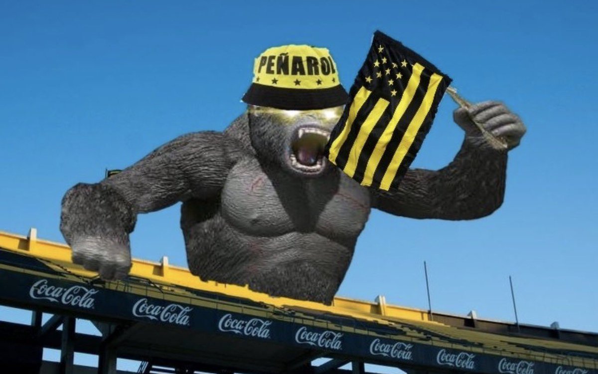 HERNAN__1891 tweet media