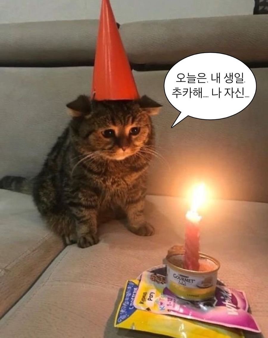 flsdl51's tweet photo. 안냐세요
오늘 제 생일이고요
다들 5월에도 잘 부탁드리고요
연휴 잘 보내새요 ~.~ https://t.co/MdhRuHU3gz