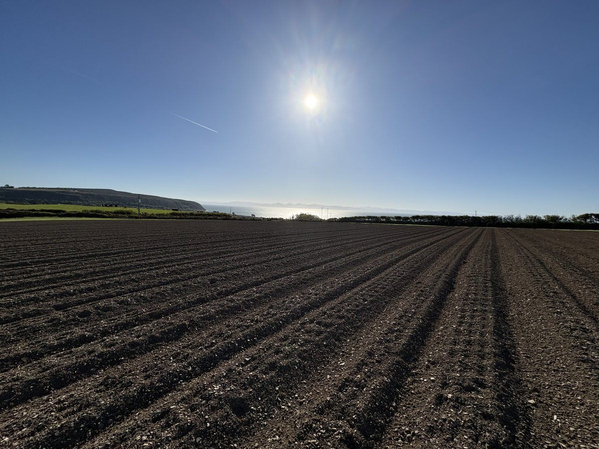 Agronomysilvers's tweet image. Some views today in the stunning Llŷn Peninsula and crops are looking well and the weather was spectacular spring barely , winter barley , potatoes 🥔 and maize going in this weekend too  grand job as one would say @AgriiUK #stunningnorthwales #wales🏴󠁧󠁢󠁷󠁬󠁳󠁿 #cropwalking